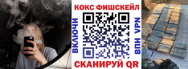 COCAIN Fish Scale  Купить где  Енисейск 