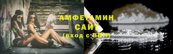 ПСИЛОЦИБИНОВЫЕ ГРИБЫ Инта