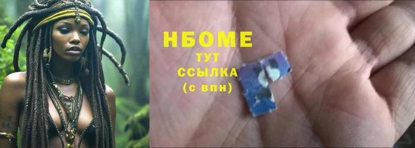 ПСИЛОЦИБИНОВЫЕ ГРИБЫ Инта