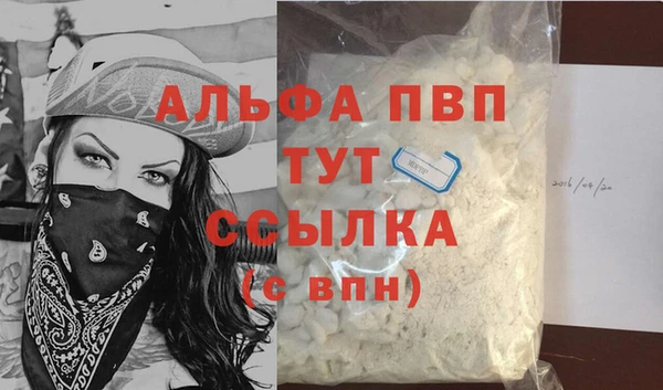 ПСИЛОЦИБИНОВЫЕ ГРИБЫ Инта