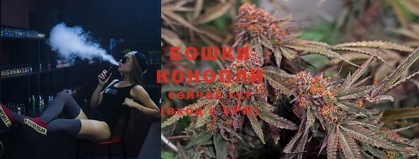 ПСИЛОЦИБИНОВЫЕ ГРИБЫ Инта
