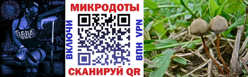 Галлюциногенные грибы прущие грибы  Купить где  Енисейск 